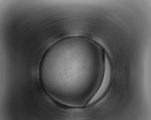 X0000088390834200705291406