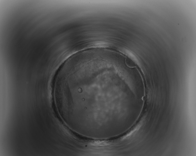 X0000088390835200705291406