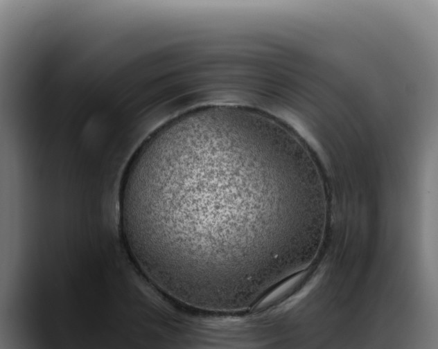 X0000088390837200705291406