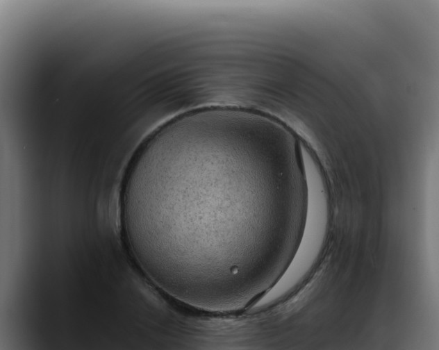 X0000088390838200705291406