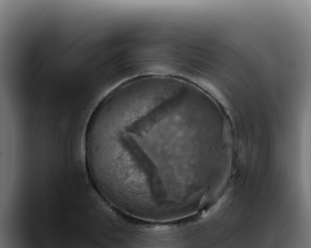 X0000088390839200705291406