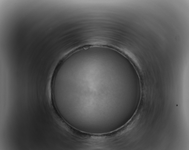 X0000088390840200705291406