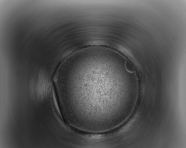 X0000088390841200705291406