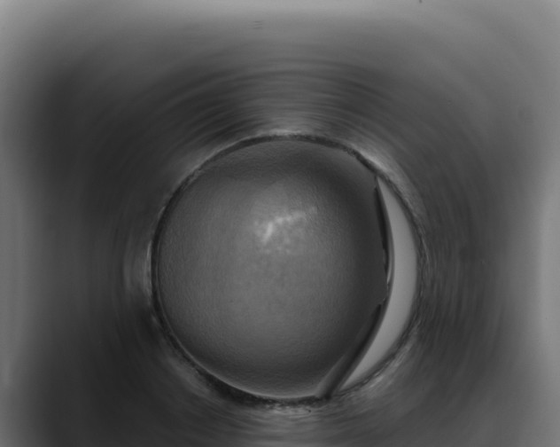 X0000088390842200705291406