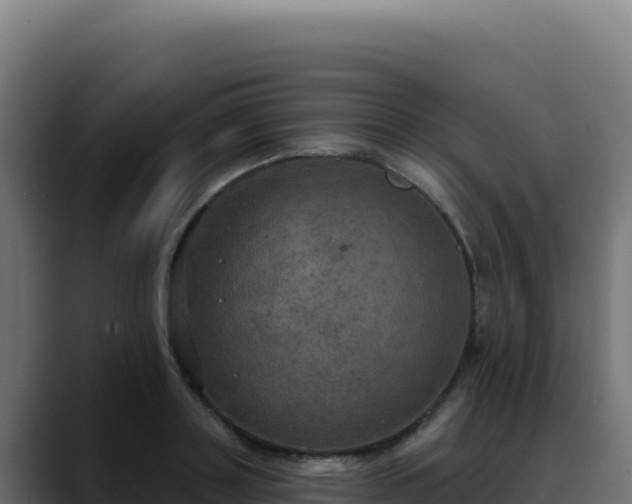 X0000088390843200705291406