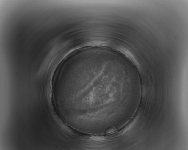 X0000088390844200705291406