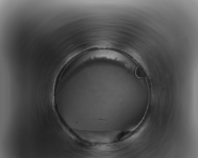 X0000088390845200705291406