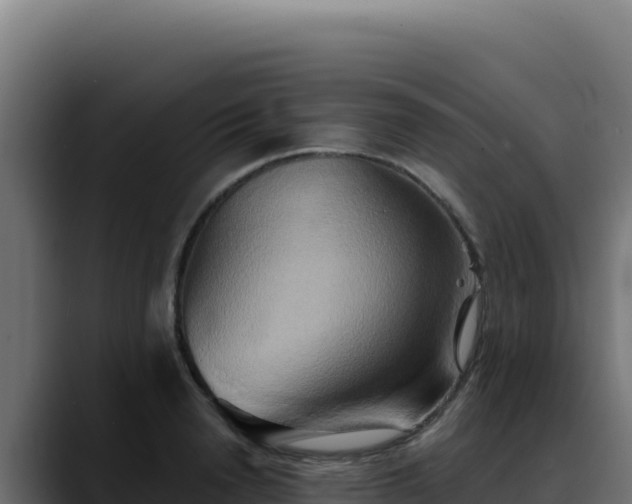 X0000088390846200705291406