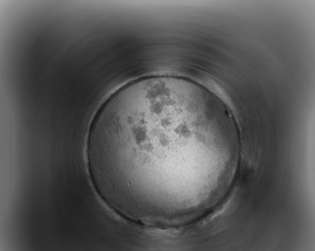 X0000088390847200705291406