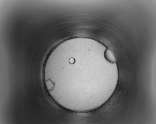 X0000088390848200705291406