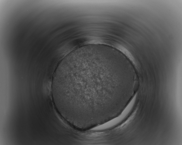 X0000088390849200705291406