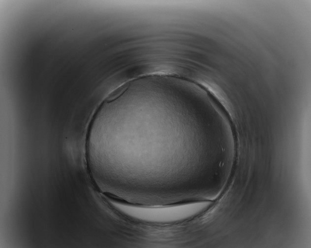 X0000088390850200705291406