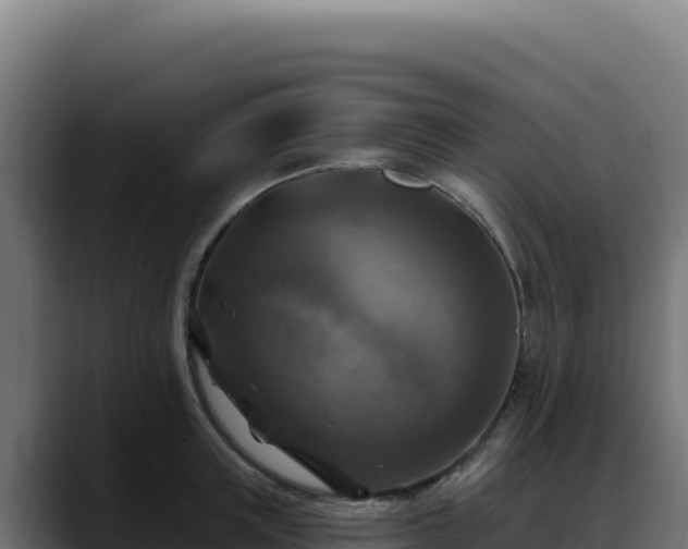 X0000088390851200705291407