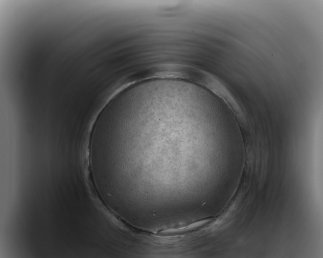 X0000088390852200705291407