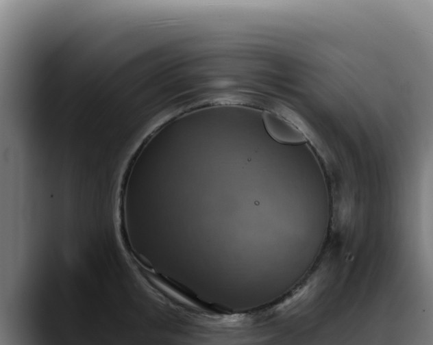 X0000088390853200705291407