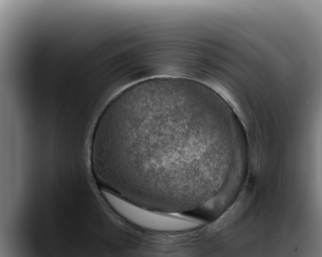 X0000088390854200705291407