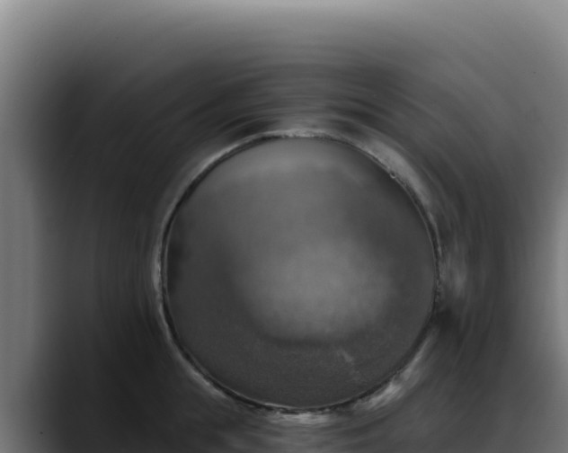 X0000088390855200705291407