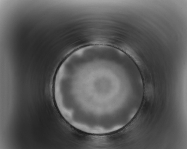 X0000088390856200705291407