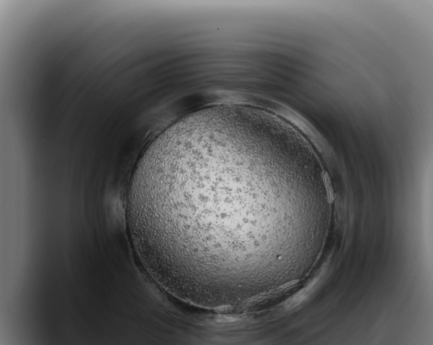 X0000088390857200705291407