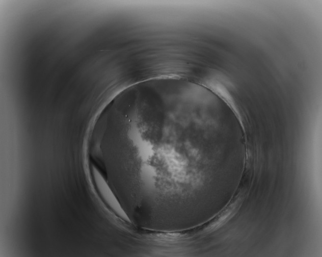 X0000088390859200705291407