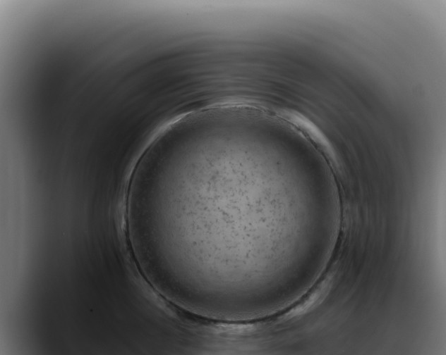 X0000088390860200705291407