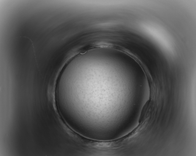 X0000088390861200705291407