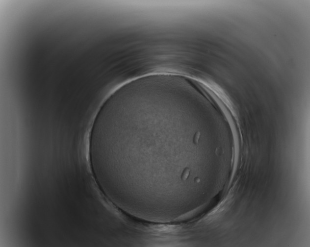 X0000088390862200705291407