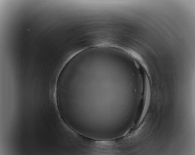 X0000088390863200705291407