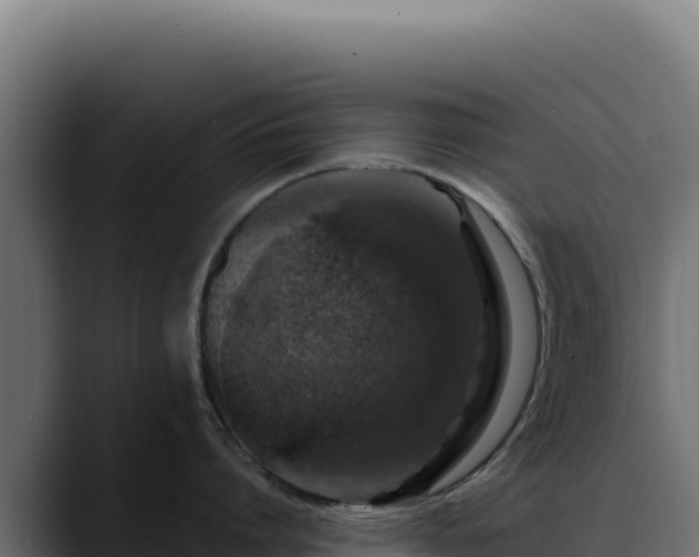 X0000088390864200705291407