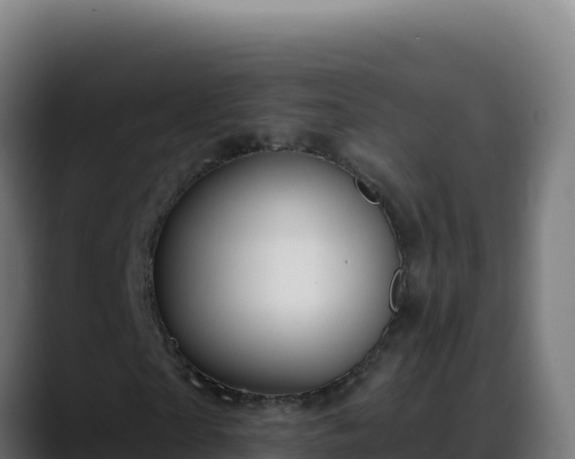 X0000088390865200705291406