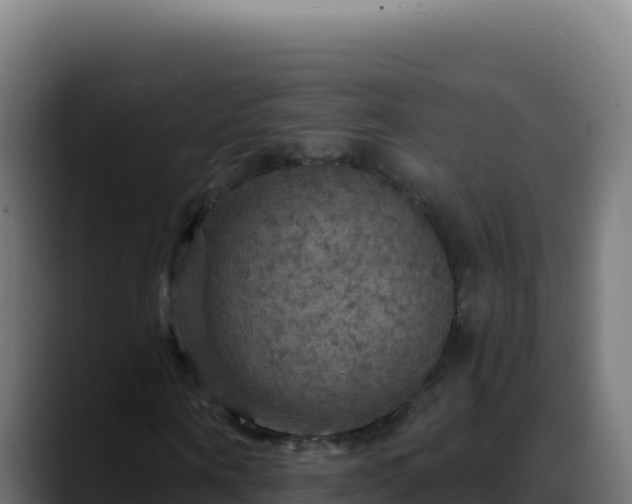 X0000088390866200705291406