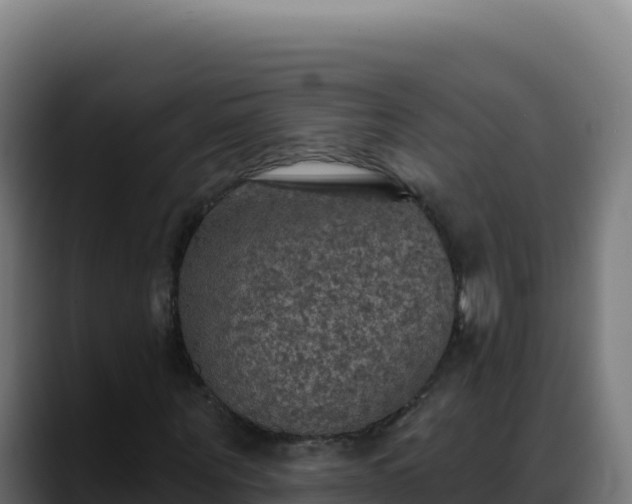 X0000088390867200705291406