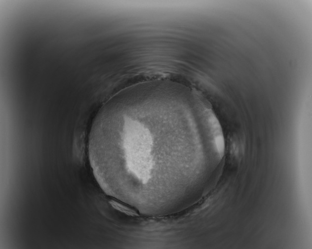 X0000088390868200705291406