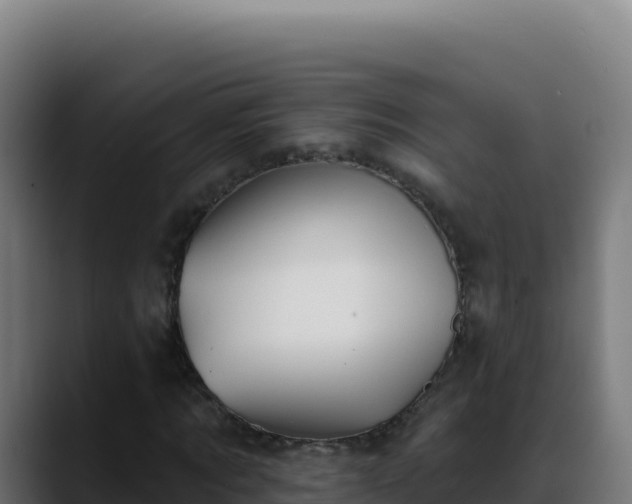 X0000088390869200705291406