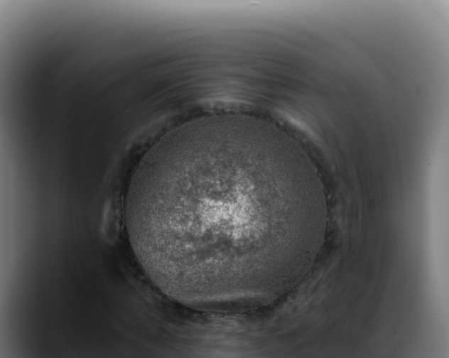 X0000088390870200705291406