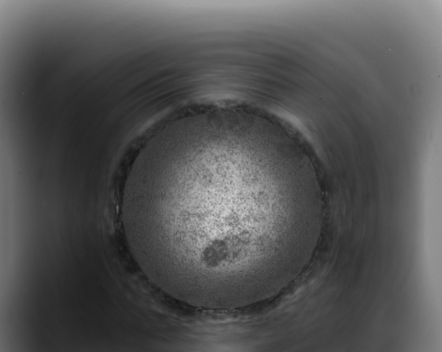 X0000088390871200705291406