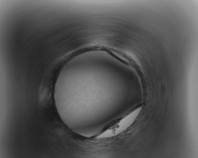 X0000088390872200705291406