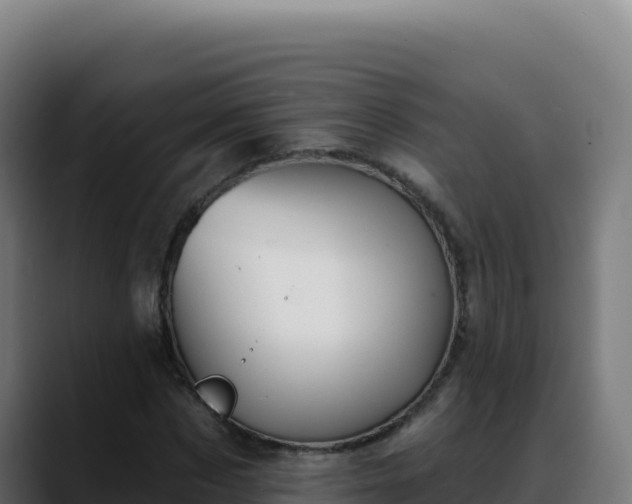 X0000088390873200705291406