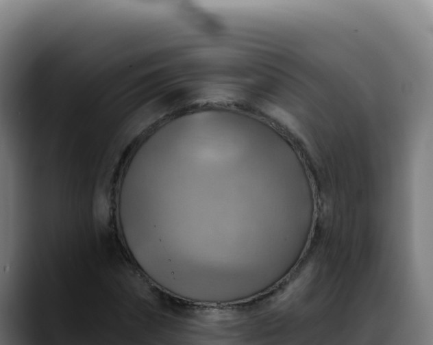 X0000088390874200705291406