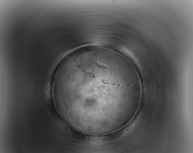 X0000088390875200705291406