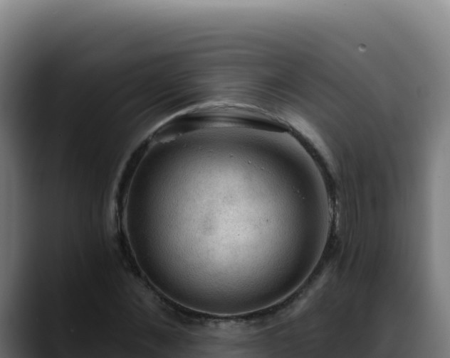 X0000088390876200705291406