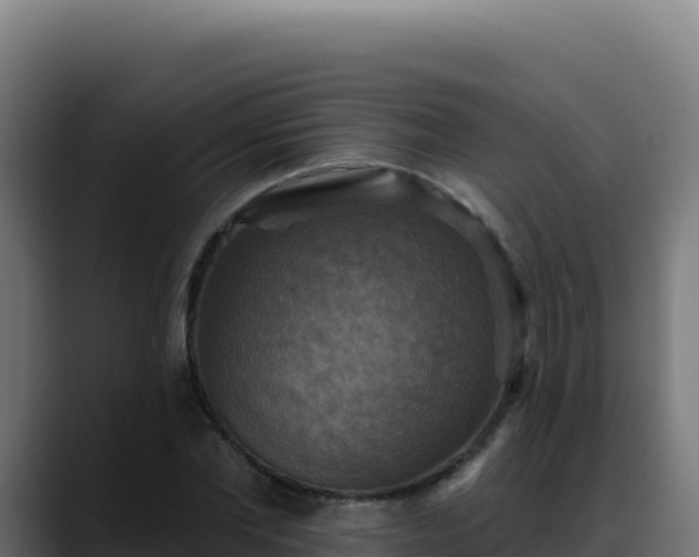 X0000088390877200705291406