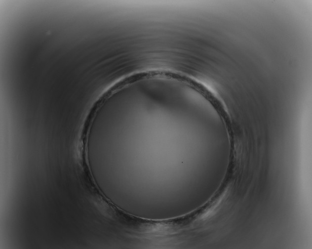 X0000088390879200705291406