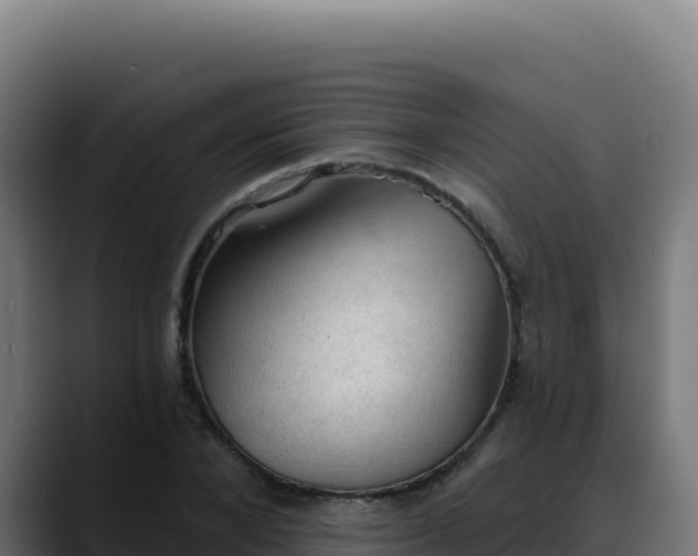 X0000088390880200705291406