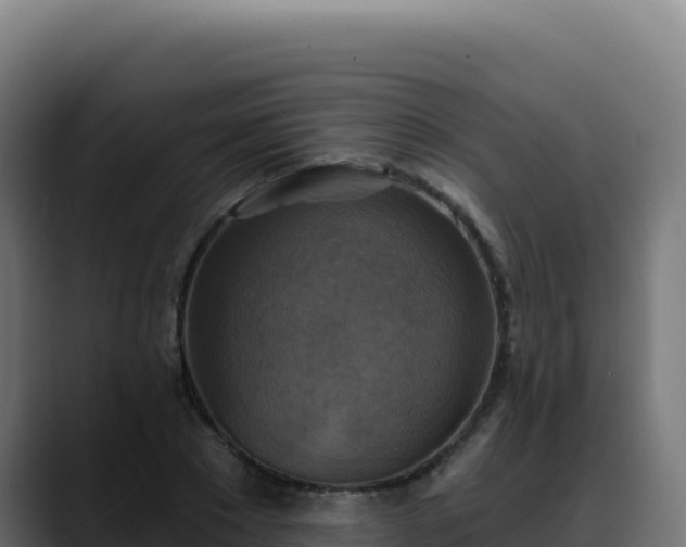 X0000088390881200705291406