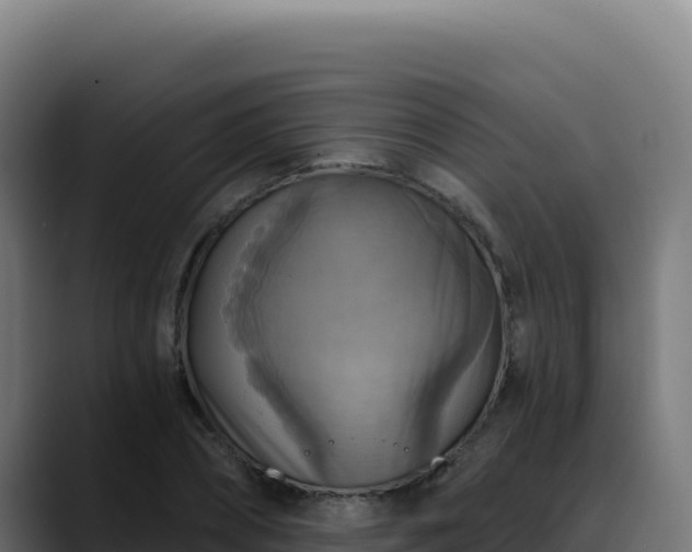 X0000088390882200705291406