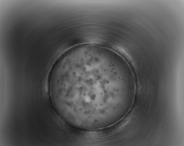 X0000088390883200705291406