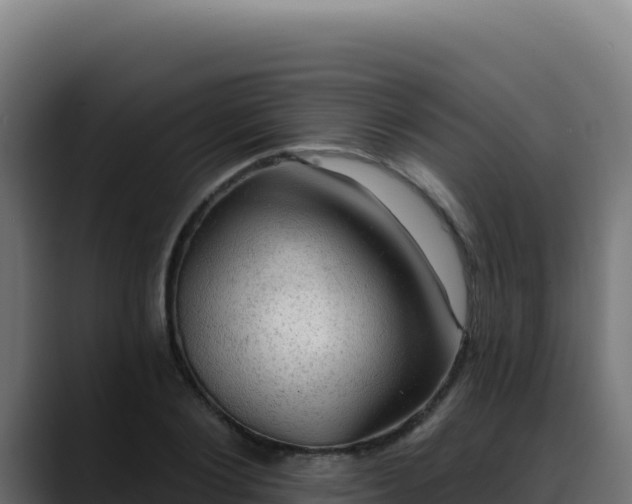 X0000088390884200705291406