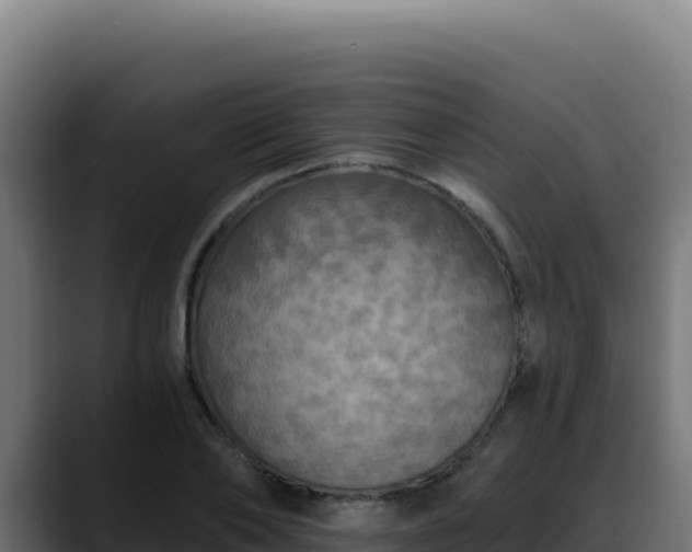 X0000088390886200705291406