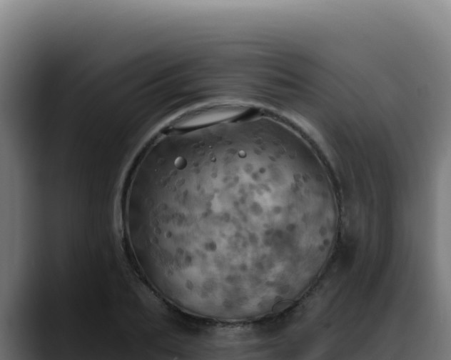 X0000088390887200705291406